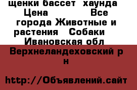 щенки бассет- хаунда › Цена ­ 20 000 - Все города Животные и растения » Собаки   . Ивановская обл.,Верхнеландеховский р-н